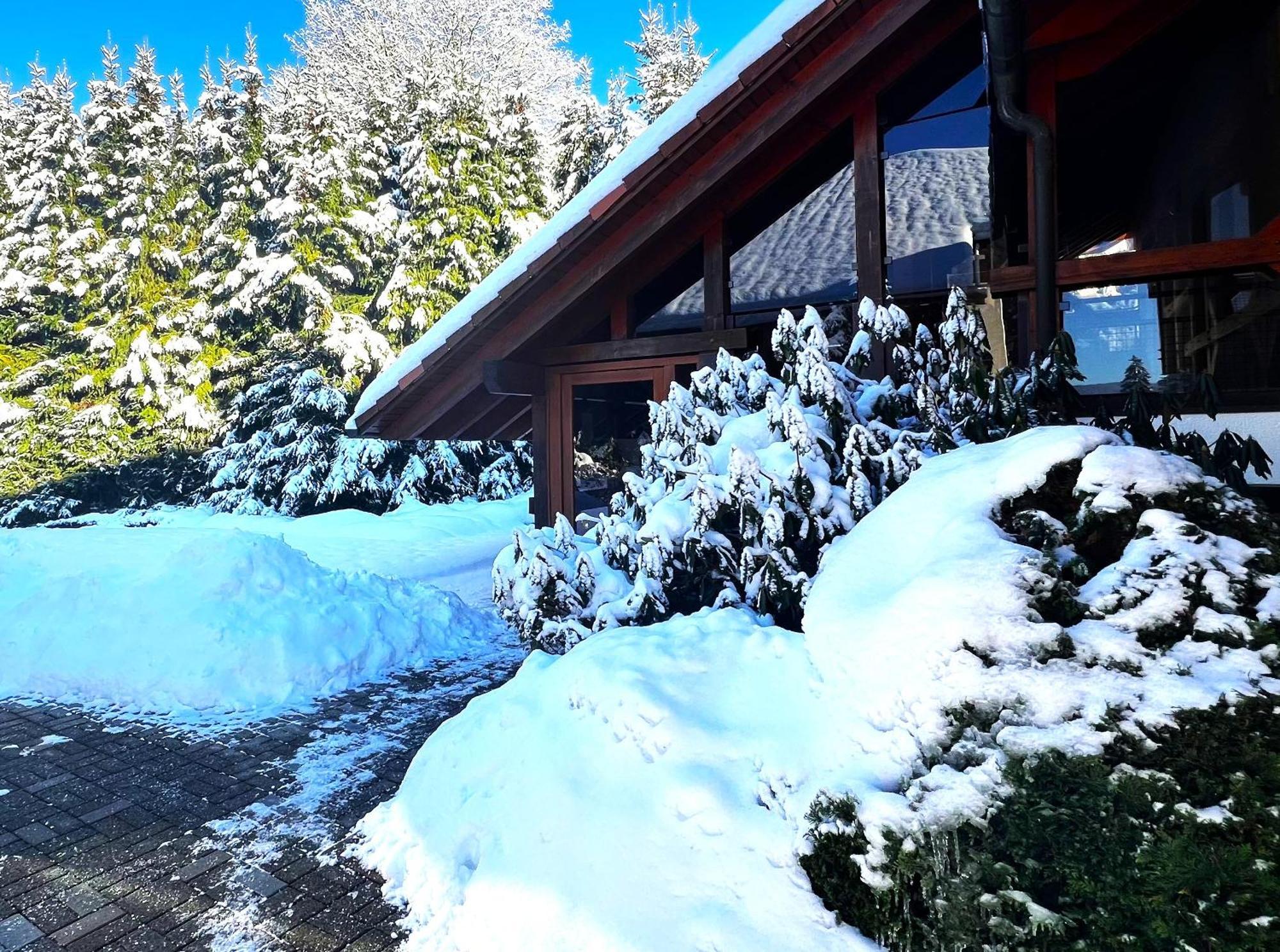 Michels Apartment Titisee-Neustadt Kültér fotó